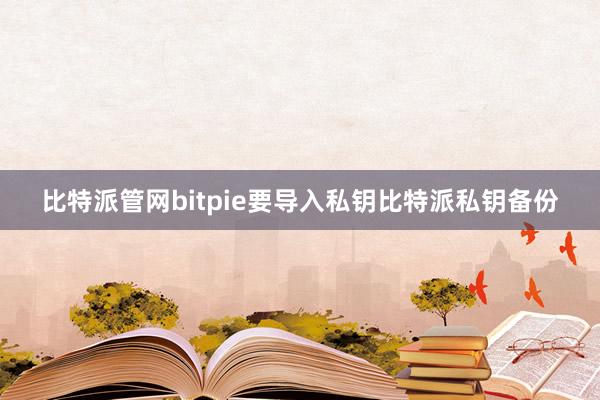 比特派管网bitpie要导入私钥比特派私钥备份