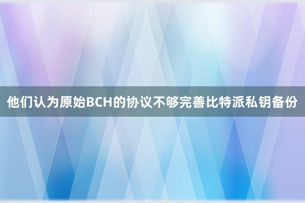 他们认为原始BCH的协议不够完善比特派私钥备份