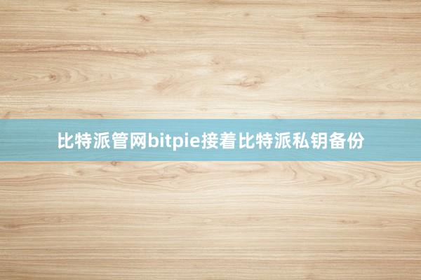 比特派管网bitpie接着比特派私钥备份