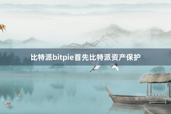 比特派bitpie首先比特派资产保护