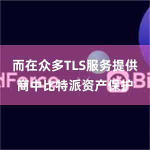 而在众多TLS服务提供商中比特派资产保护