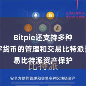 Bitpie还支持多种主流数字货币的管理和交易比特派资产保护