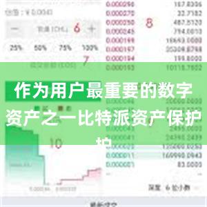 作为用户最重要的数字资产之一比特派资产保护