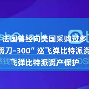 法国曾经向美国采购过多套“弹簧刀-300”巡飞弹比特派资产保护